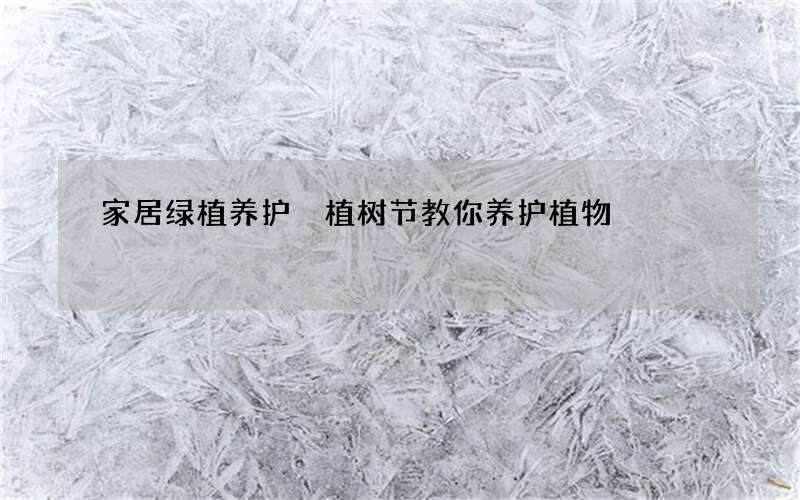 家居绿植养护 植树节教你养护植物